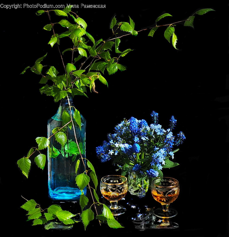 Plant, Jar, Vase, Pottery, Flower