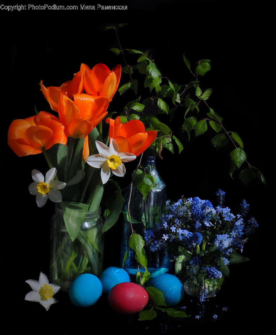 Plant, Blossom, Flower, Flower Arrangement, Flower Bouquet