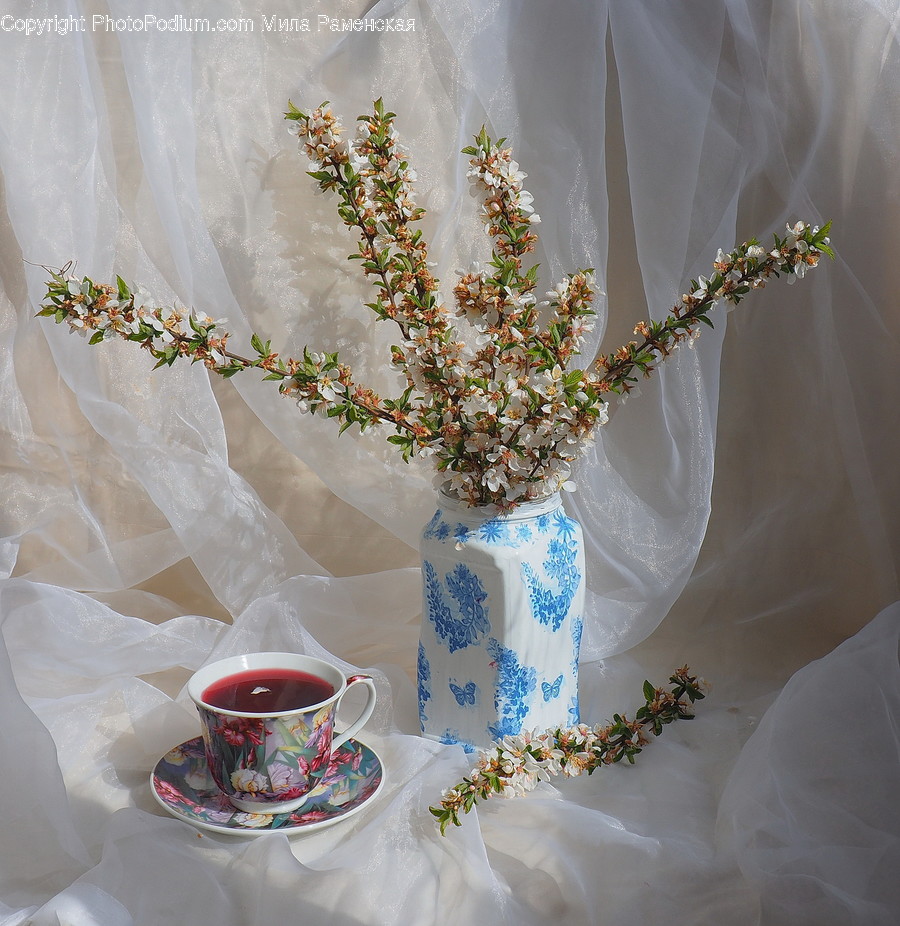 Pottery, Saucer, Plant, Flower, Blossom