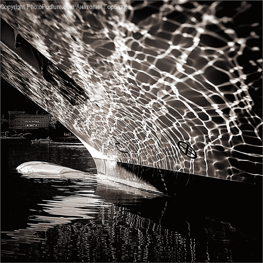 Spider Web