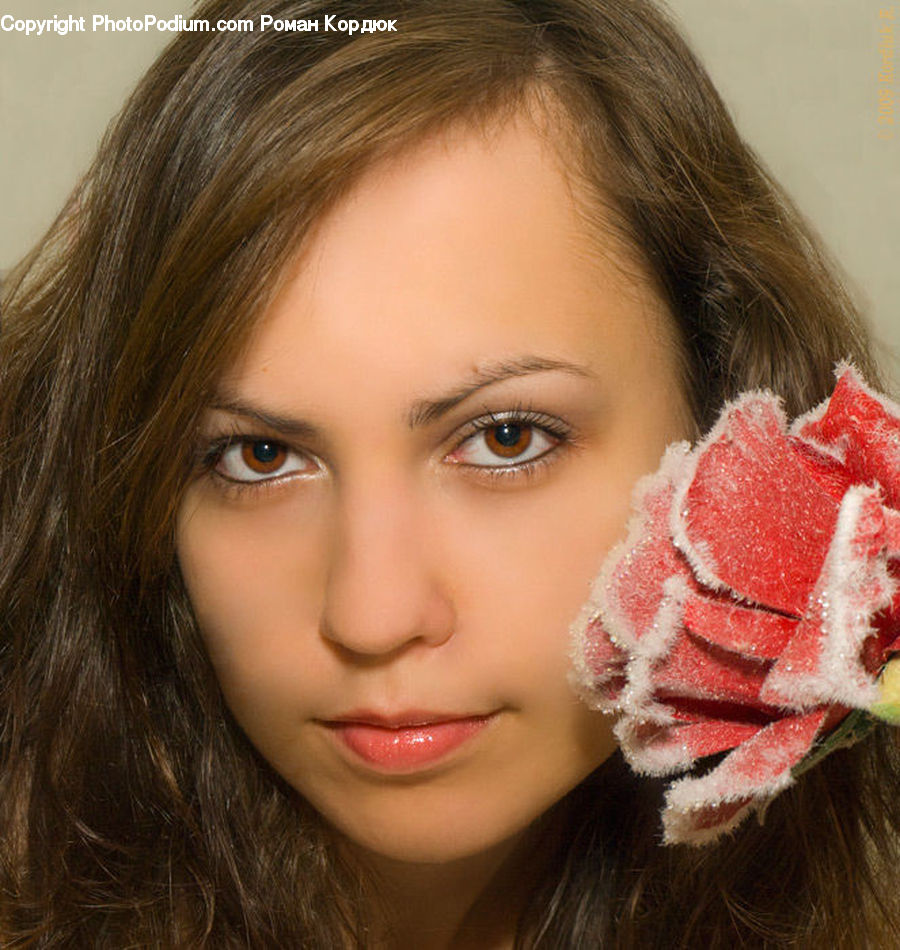Human, People, Person, Female, Girl, Woman, Face