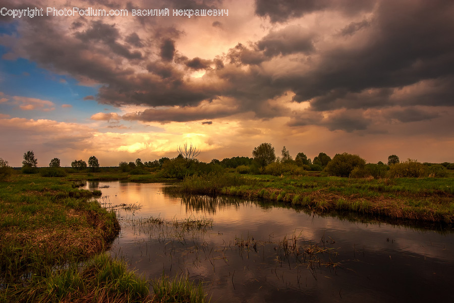 Nature, Land, Outdoors, Water, Swamp