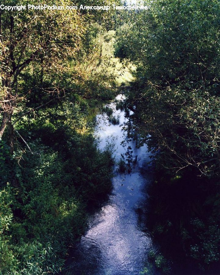 Creek, Outdoors, River, Water, Dirt Road, Gravel, Road