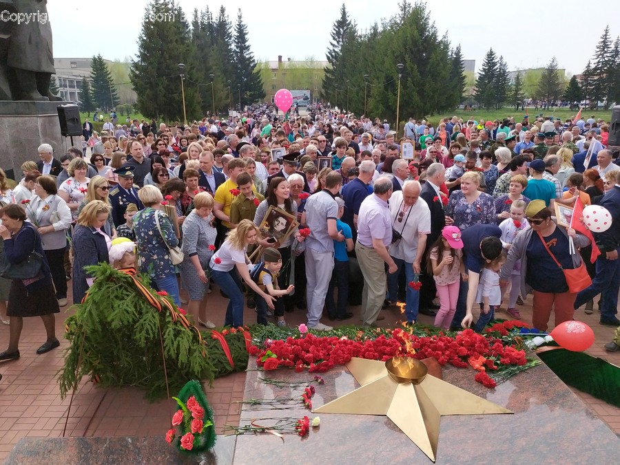 Human, Person, Plant, Crowd, Festival