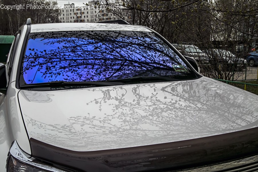 Windshield, Transportation, Automobile, Car, Vehicle