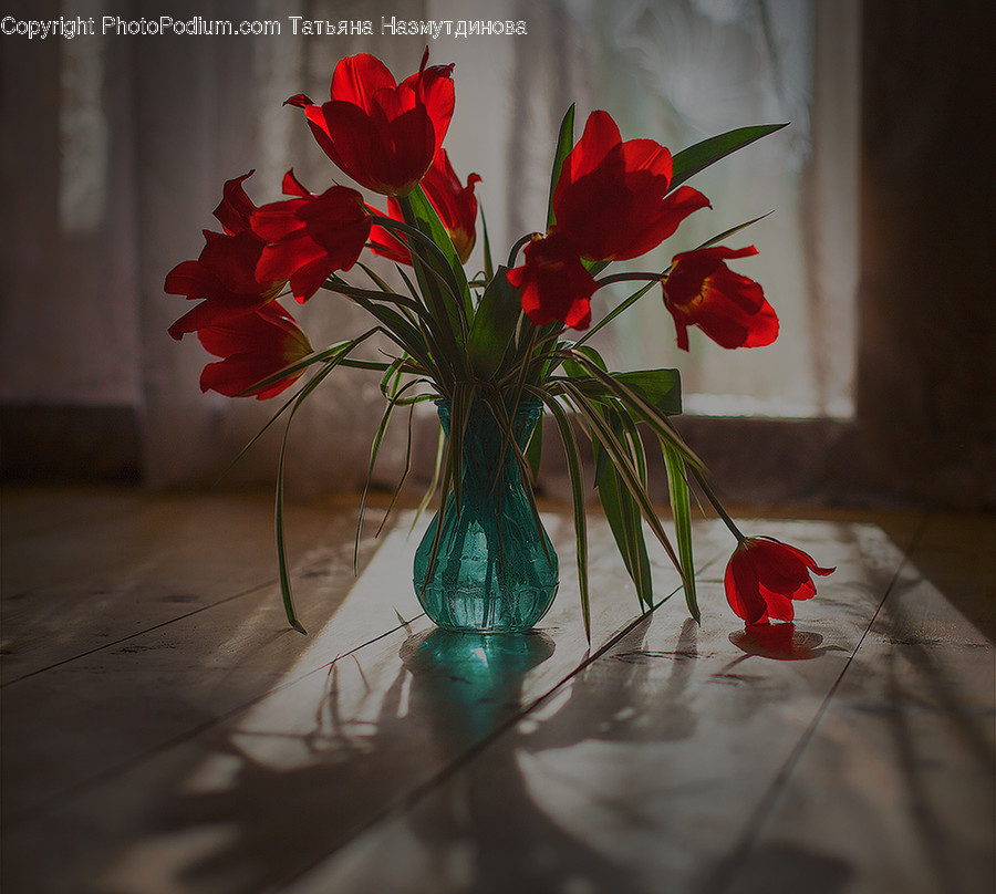 Plant, Flower, Blossom, Flower Arrangement, Flower Bouquet