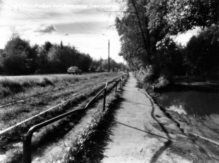 Countryside, Outdoors, Path, Trail, Plant, Tree