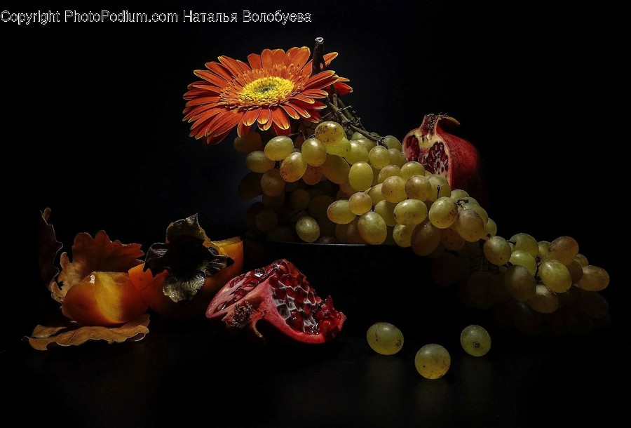 Plant, Grapes, Fruit, Food, Leaf