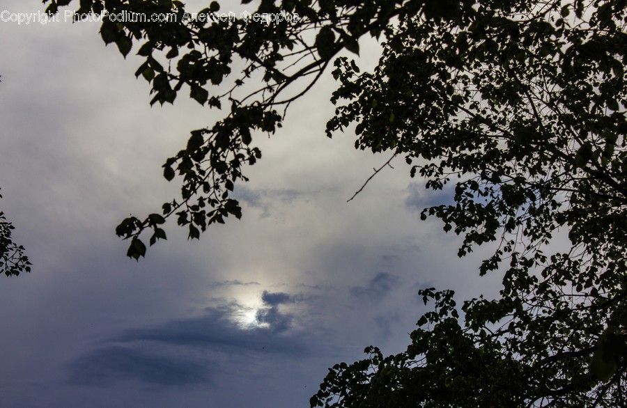 Light, Flare, Nature, Outdoors, Weather