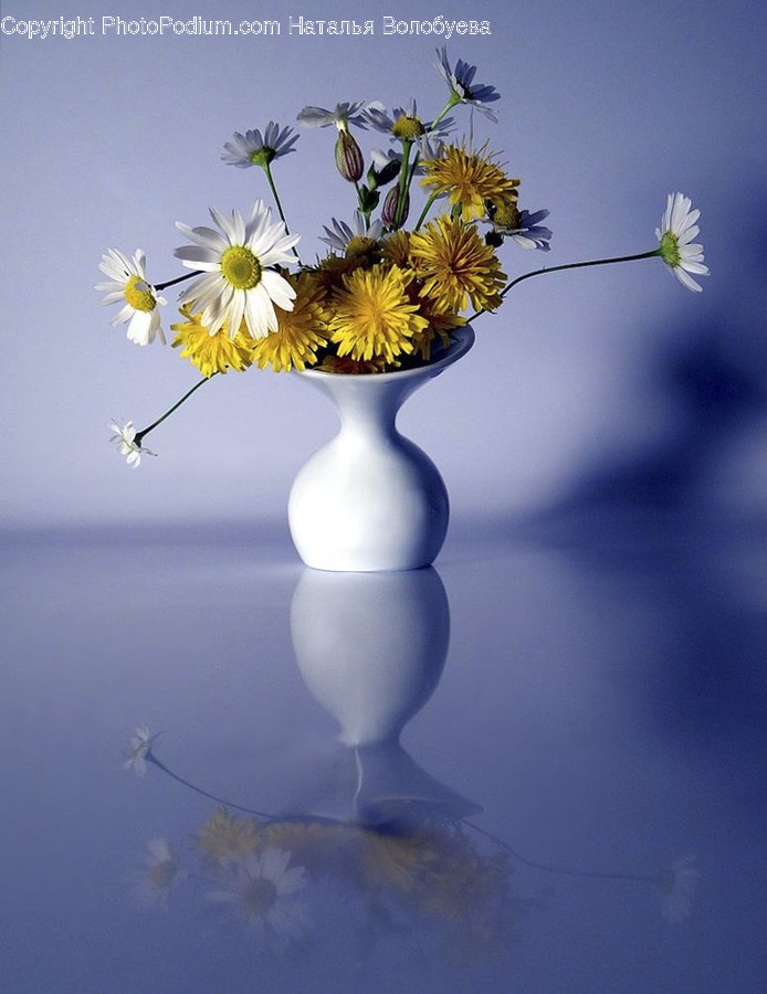 Plant, Blossom, Flower, Art, Pottery