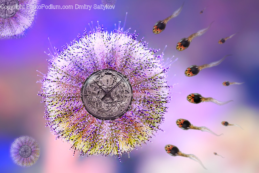 Purple, Bird, Animal, Pollen, Plant
