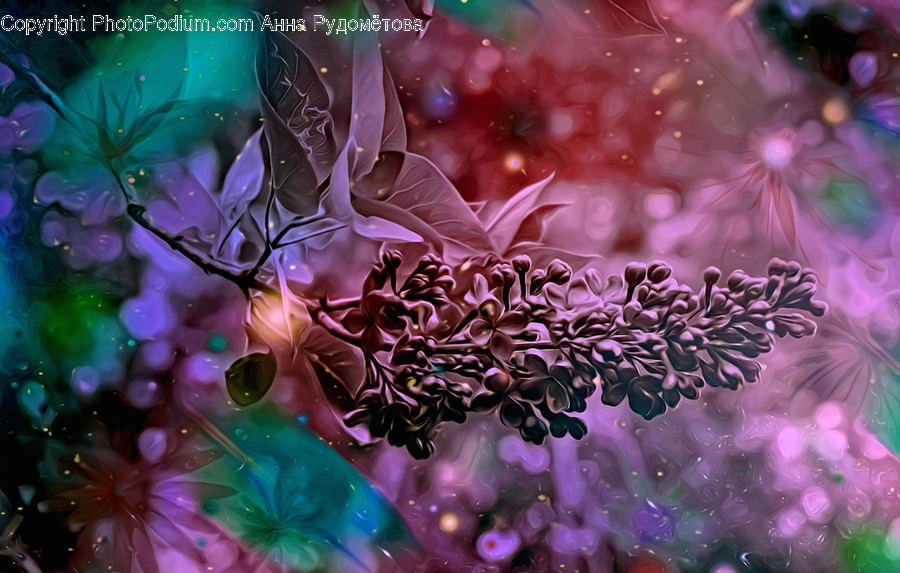 Ornament, Pattern, Fractal, Graphics, Art