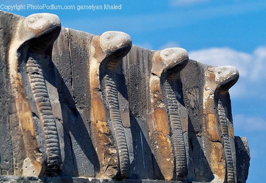 Art, Wildlife, Animal, Elephant, Mammal