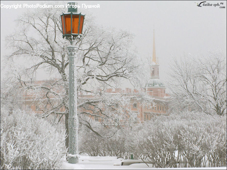 Frost, Ice, Outdoors, Snow, Blizzard, Weather, Winter