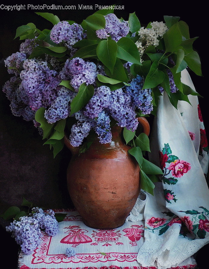 Plant, Blossom, Flower, Lilac, Flower Arrangement