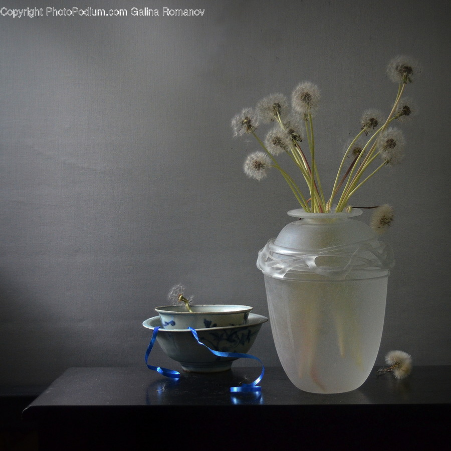 Plant, Blossom, Flower, Pottery, Pot