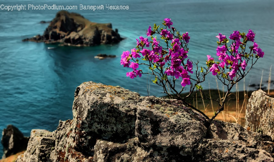 Land, Outdoors, Nature, Ocean, Sea