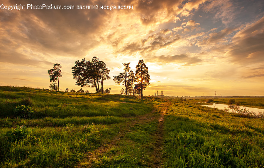 Nature, Outdoors, Field, Grassland, Landscape
