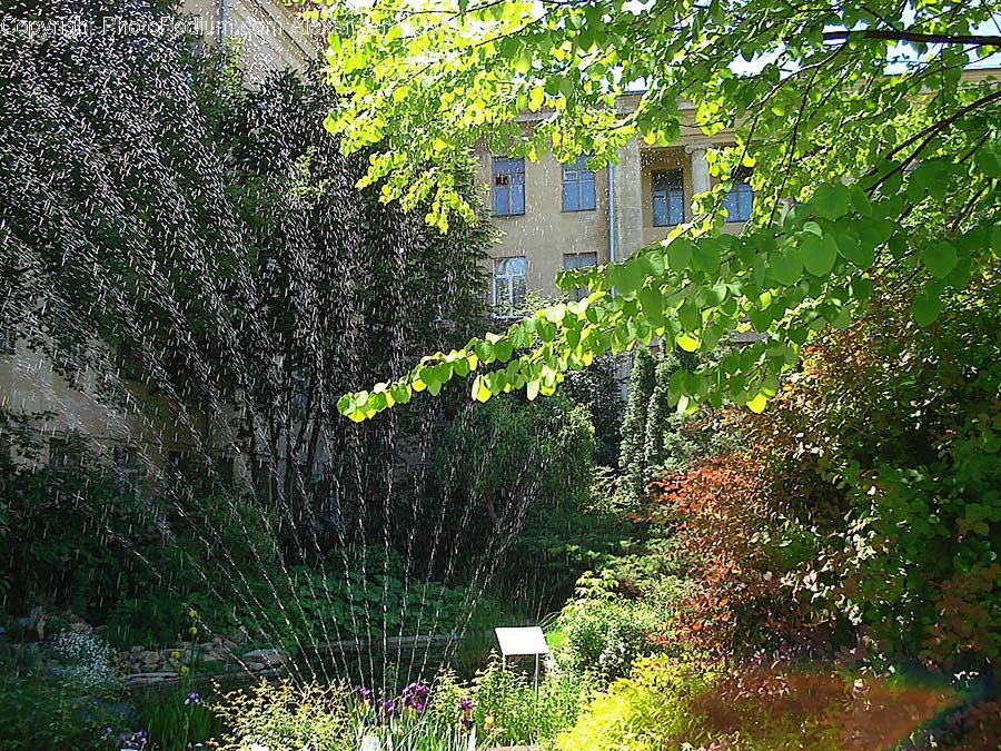Outdoors, Garden, Machine, Arbour, Plant
