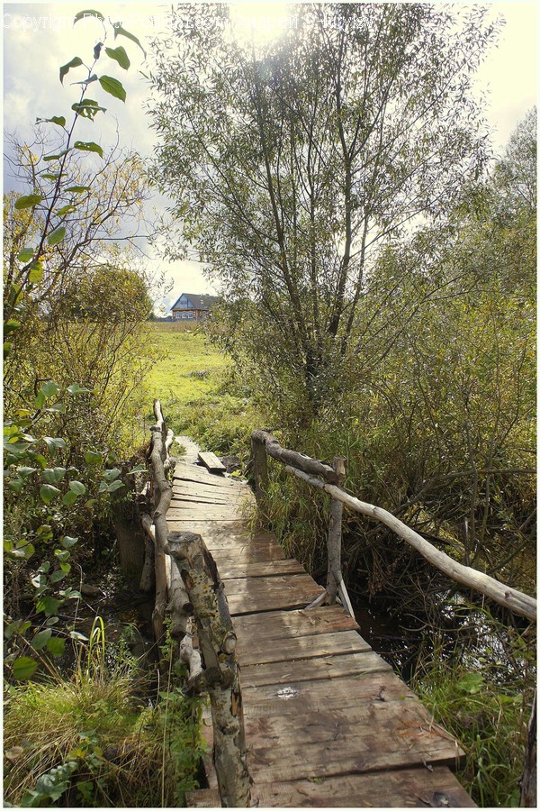 Bridge, Building, Boardwalk, Path, Outdoors