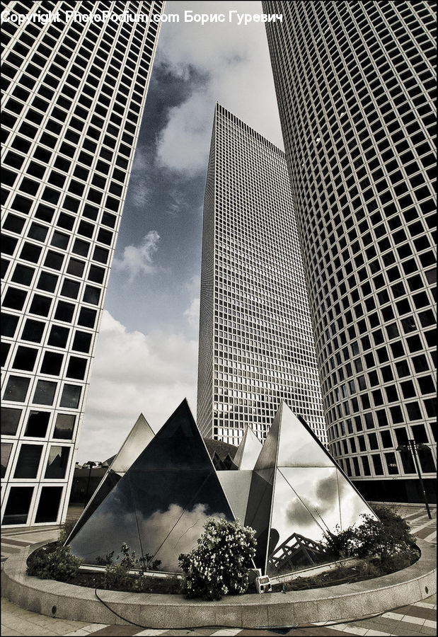 Plant, Potted Plant, Architecture, City, Downtown, High Rise, Skyscraper