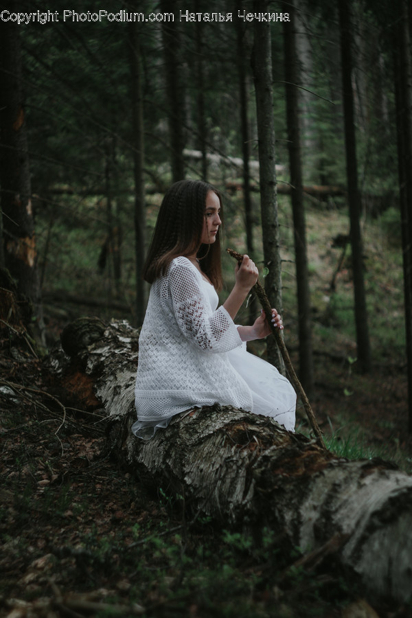 Apparel, Clothing, Gown, Evening Dress, Robe