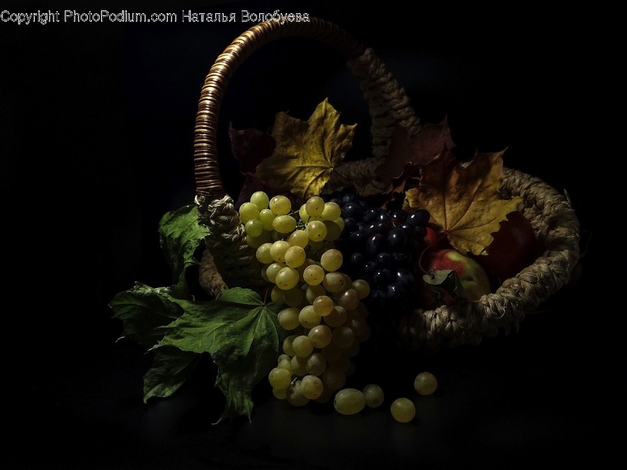 Plant, Grapes, Fruit, Food