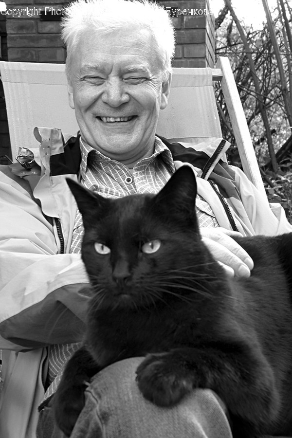 Pet, Animal, Cat, Mammal, Human