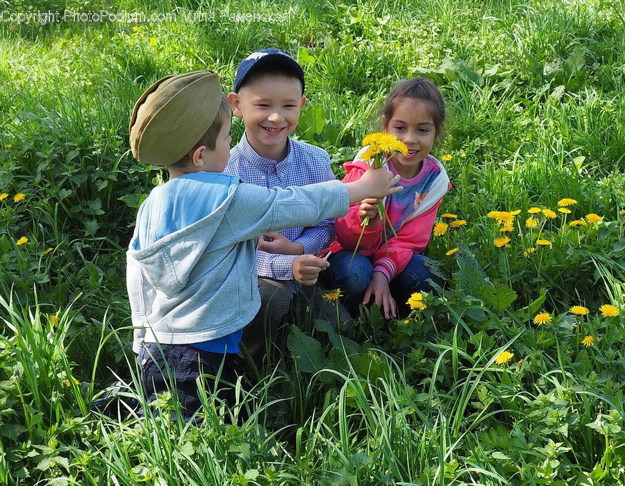 Outdoors, Garden, Human, Person, Gardening