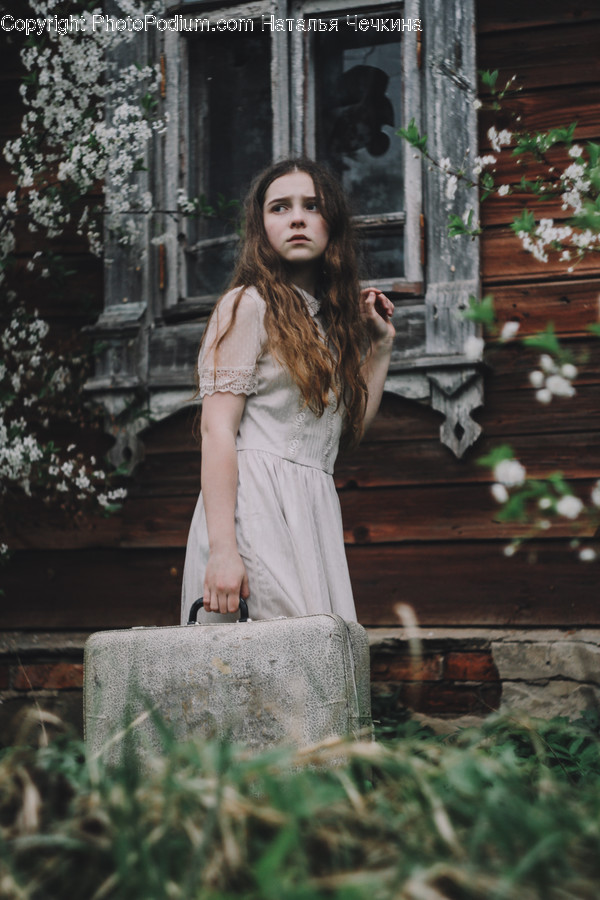 Clothing, Apparel, Gown, Fashion, Evening Dress