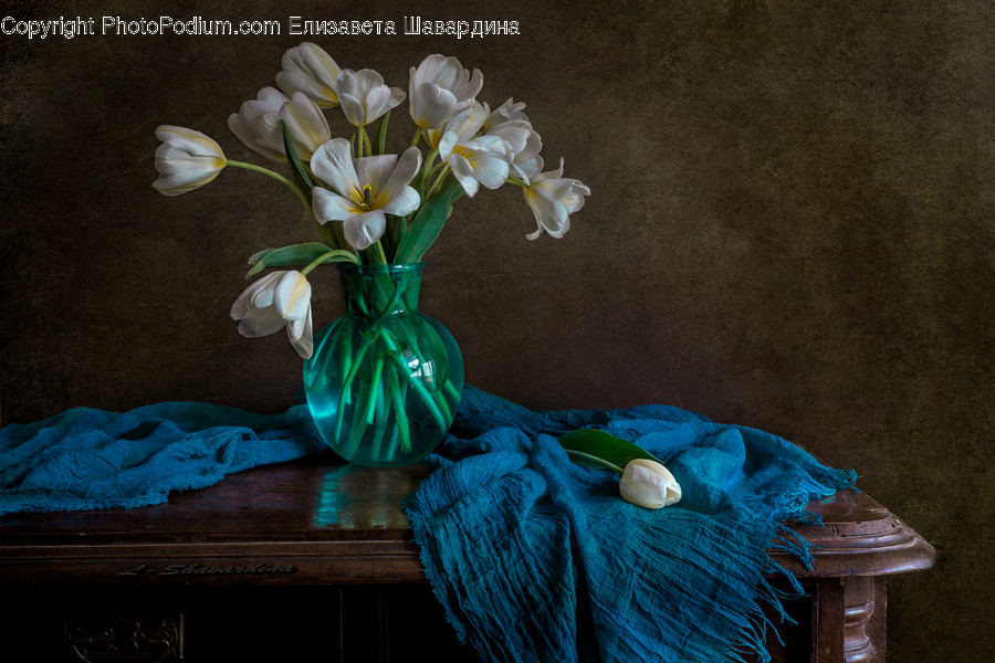Plant, Flower Arrangement, Flower, Blossom, Art