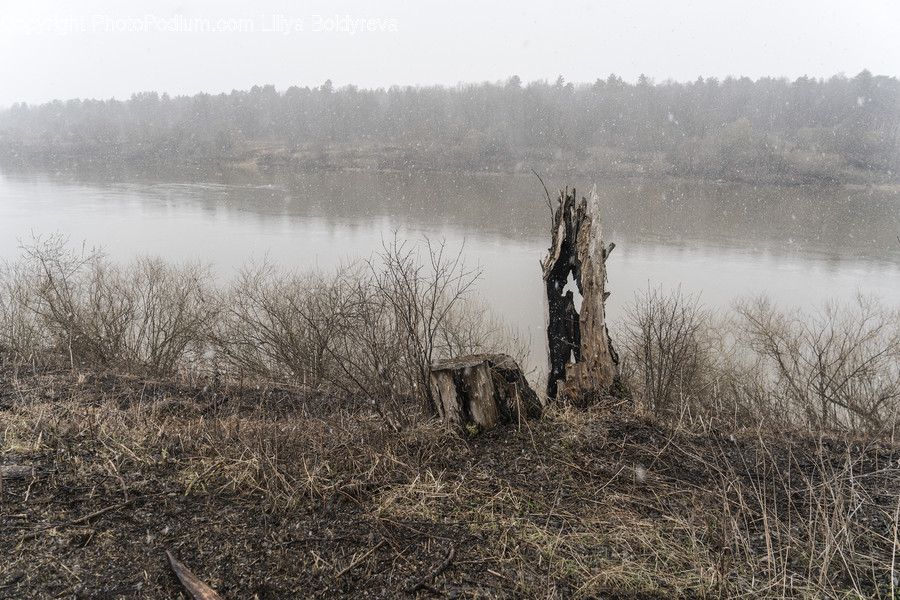 Nature, Weather, Outdoors, Fog, Mist