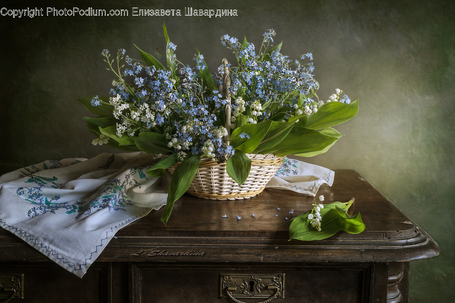 Plant, Furniture, Flower, Blossom, Flower Bouquet
