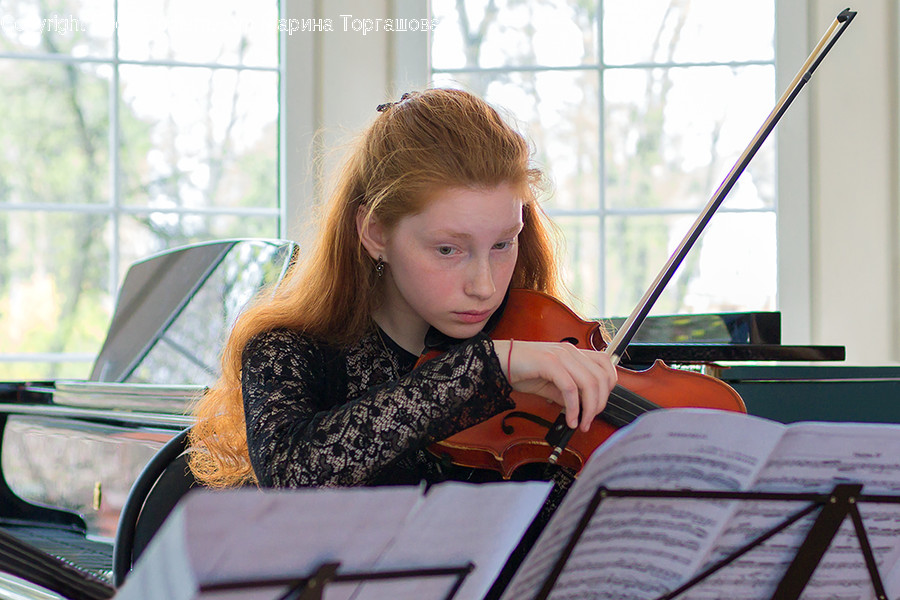 Human, Person, Leisure Activities, Violin, Viola
