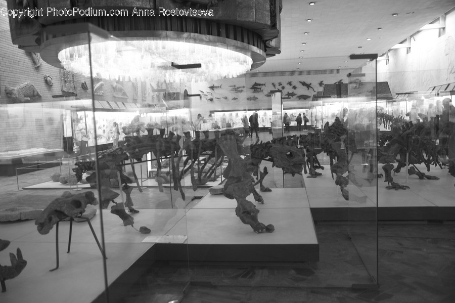 Person, Human, Lighting, Exercise, Working Out