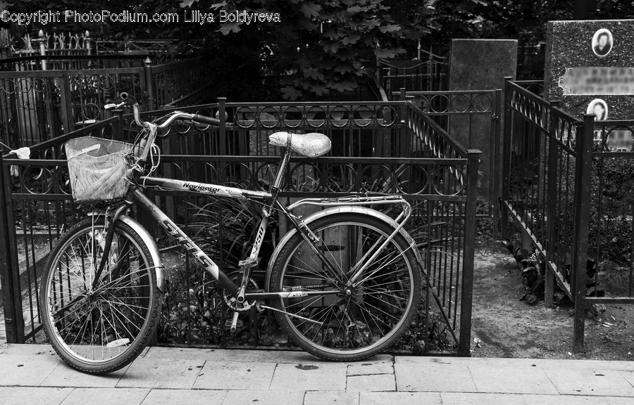 Bicycle, Transportation, Bike, Vehicle, Machine