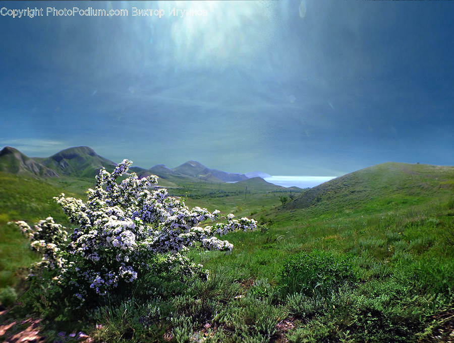 Nature, Outdoors, Hill, Countryside, Plateau