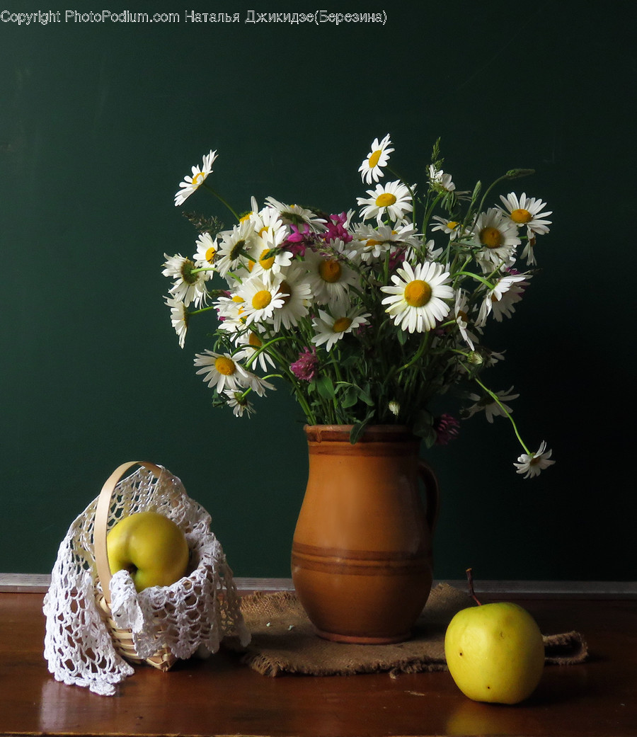 Plant, Flower, Blossom, Flower Arrangement, Flower Bouquet