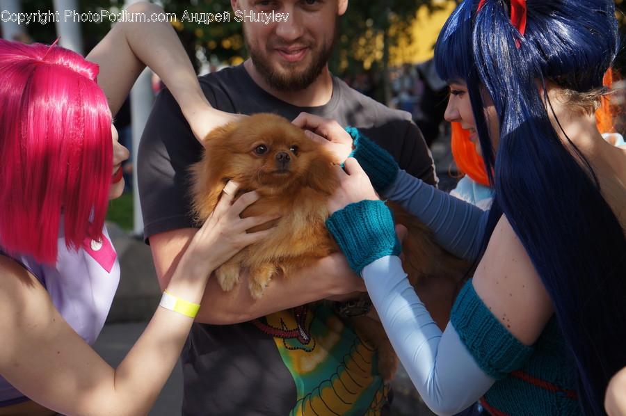 Human, Person, Canine, Animal, Mammal