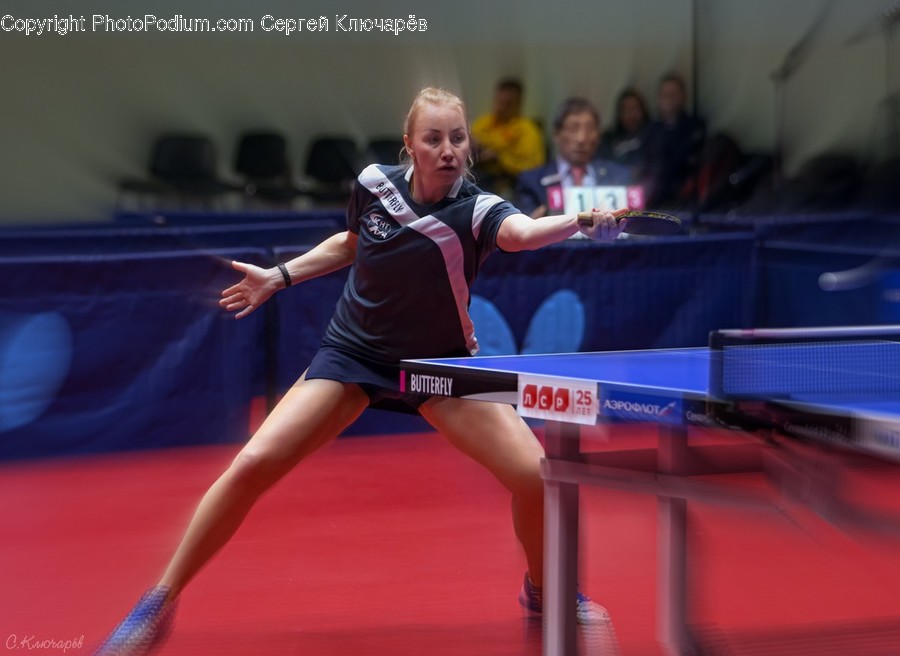 Human, Person, Sport, Sports, Ping Pong
