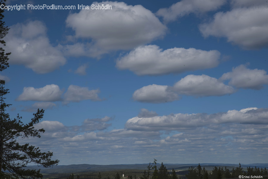 Weather, Nature, Outdoors, Cumulus, Cloud