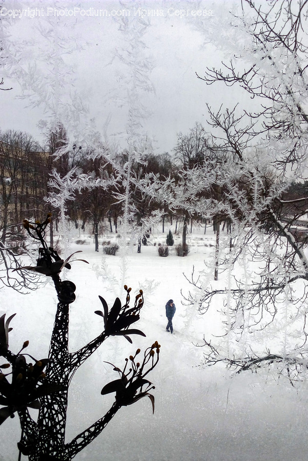 Nature, Storm, Blizzard, Winter, Outdoors