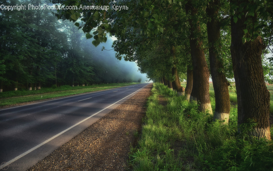 Road, Tarmac, Asphalt, Freeway, Highway