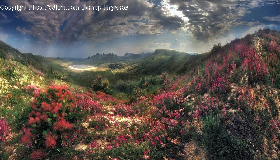 Nature, Outdoors, Scenery, Landscape, Slope