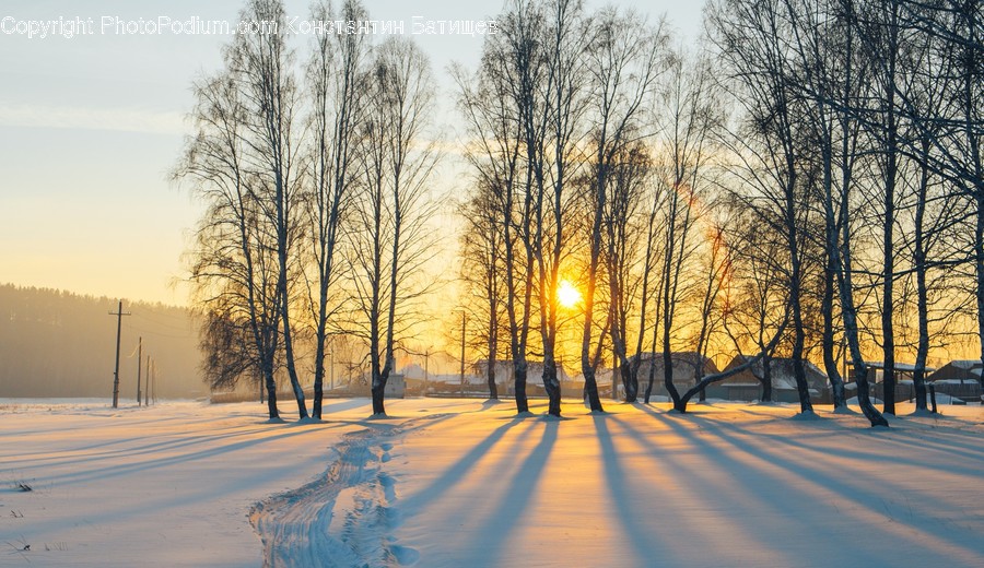 Flare, Light, Nature, Sunlight, Outdoors