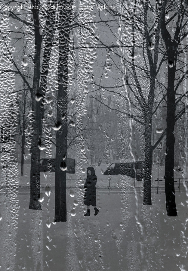 Nature, Outdoors, Snow, Winter, Ice