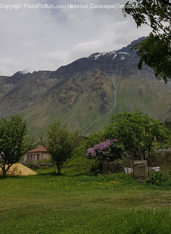 Nature, Outdoors, Building, Countryside, Rural