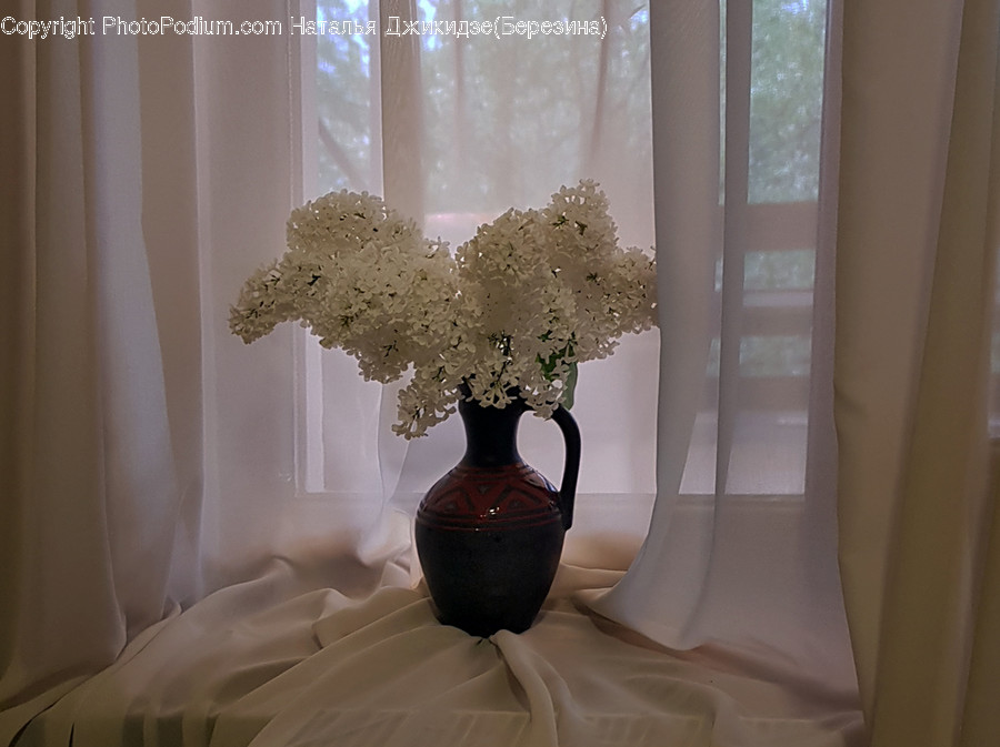 Jar, Vase, Pottery, Plant, Flower