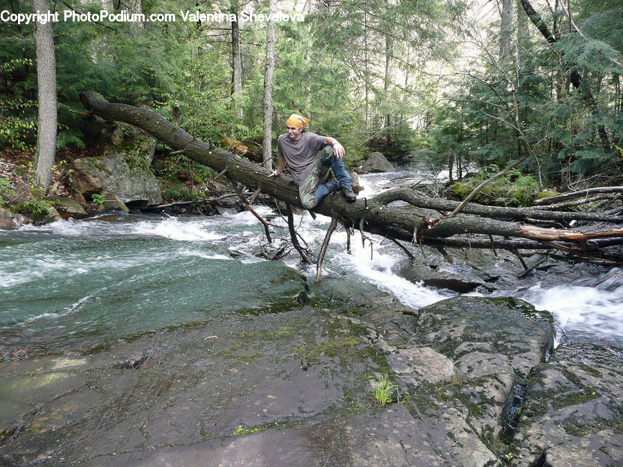 Creek, Outdoors, River, Water, Forest, Vegetation, Bicycle