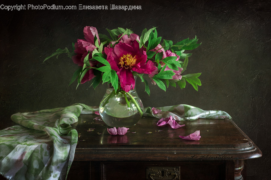 Plant, Flower, Blossom, Flower Arrangement, Flower Bouquet